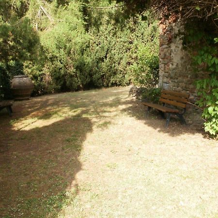 Agriturismo Il Palazzaccio Villa Galliano Екстериор снимка