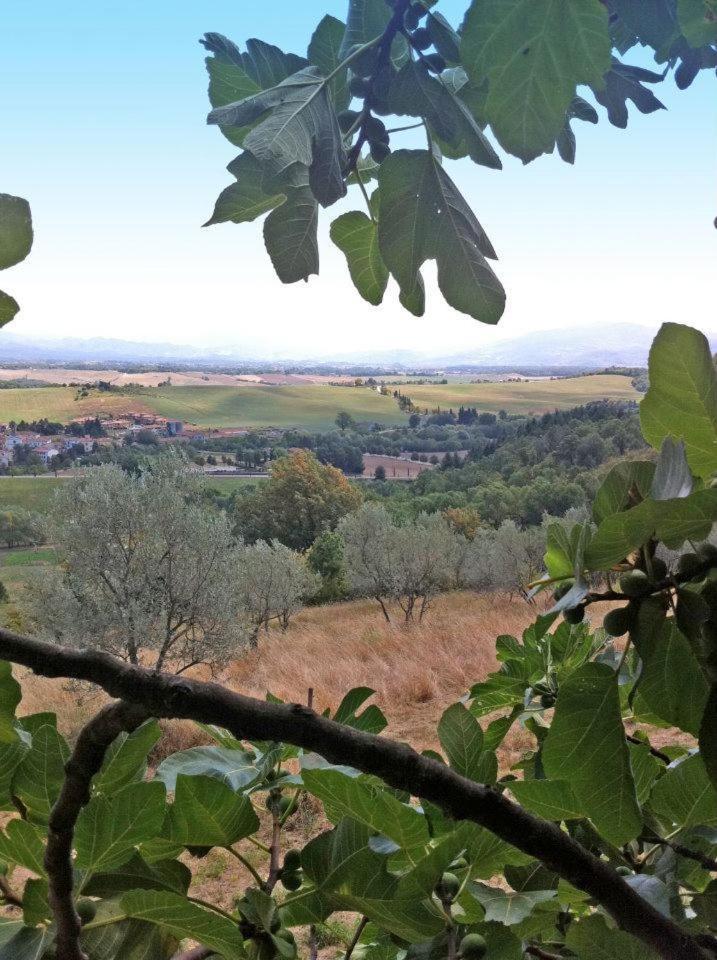 Agriturismo Il Palazzaccio Villa Galliano Екстериор снимка