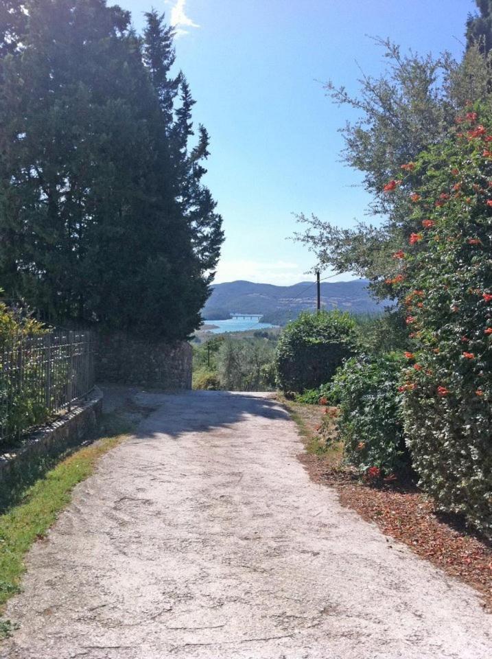 Agriturismo Il Palazzaccio Villa Galliano Екстериор снимка