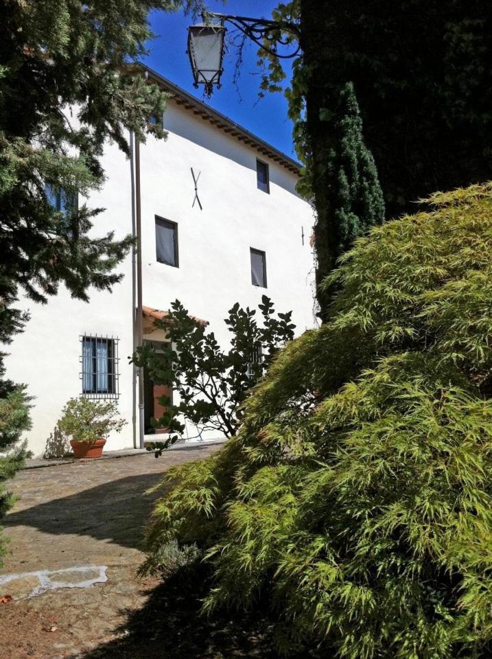 Agriturismo Il Palazzaccio Villa Galliano Екстериор снимка